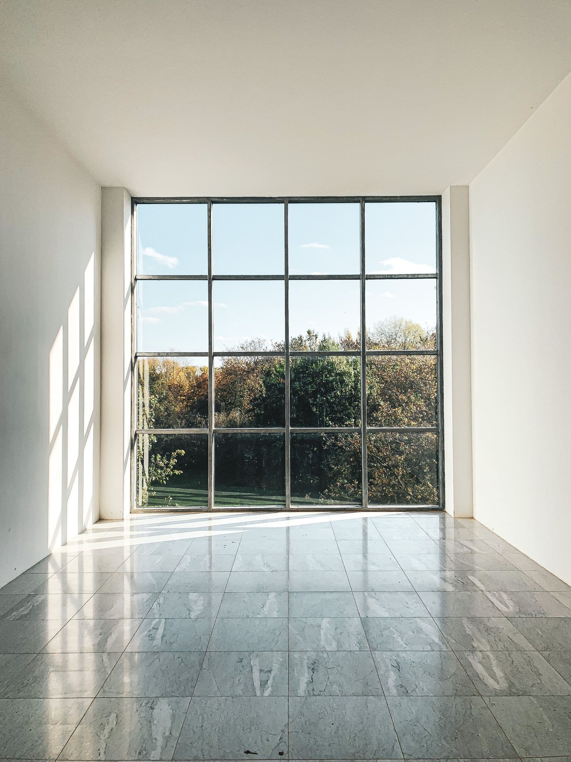 Window picture